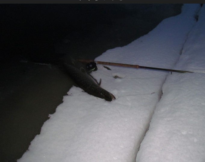 valossa ja pimeällä ---- 11 ----.jpg