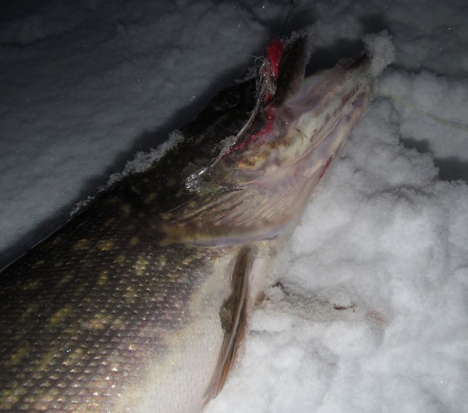 valossa ja pimeällä ---- 12 ----.jpg