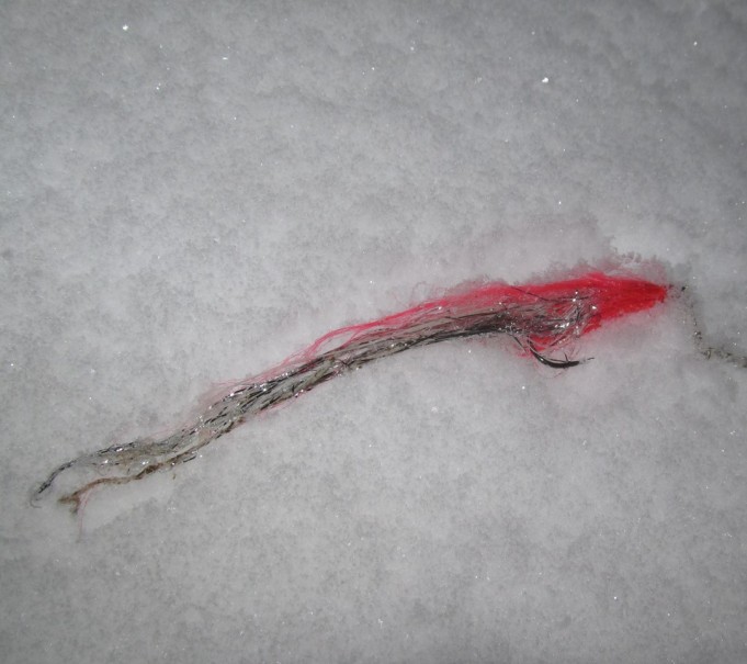 valossa ja pimeällä ---- 13 ----.jpg