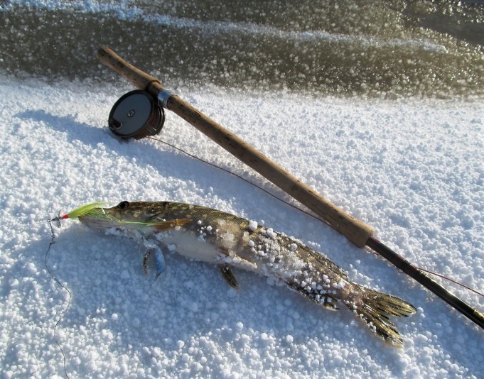 B - W ja H  ---- 200 ----  .jpg