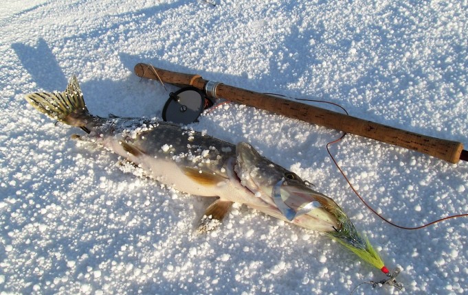 B - W ja H  ---- 600 ----  .jpg