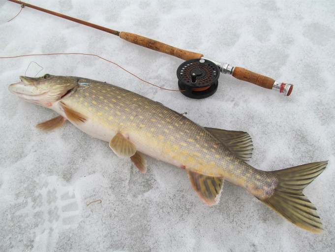 Milward ---- 200 ----.jpg