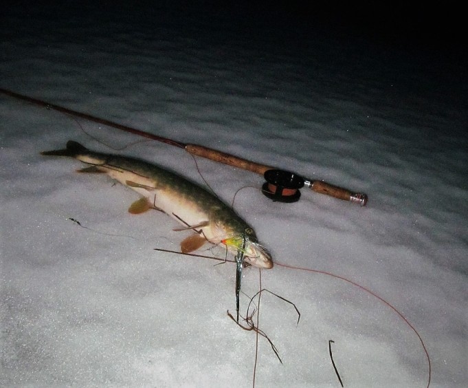 Milward ---- 900 ----.jpg