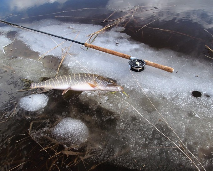 O.G ---- 10 ----.jpg