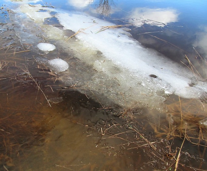 O.G ---- 60 ----.jpg