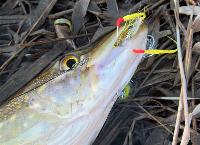 o ja l ---- 10 ----.jpg