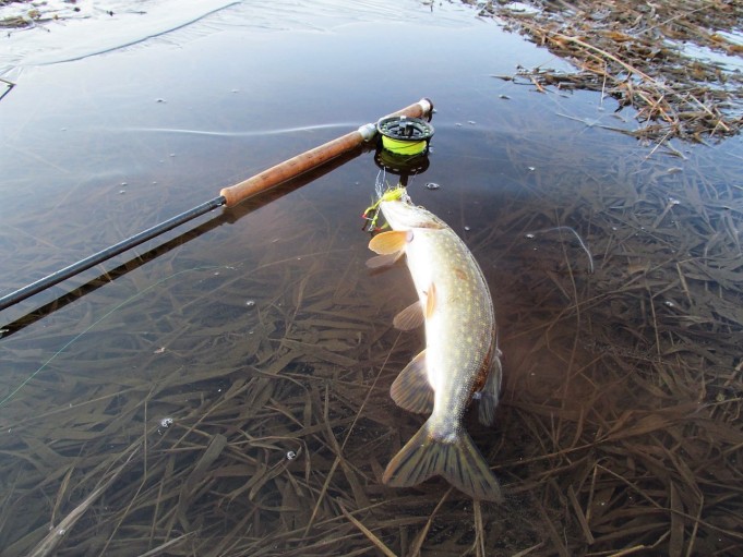 o ja l ---- 20 ----.jpg