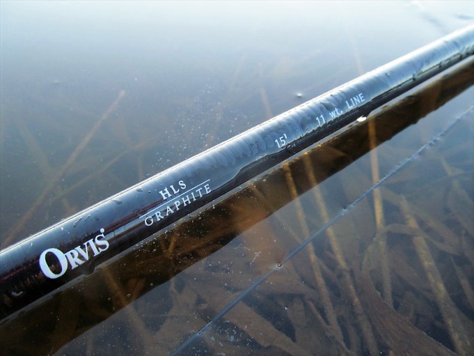 o ja l ---- 40 ----.jpg