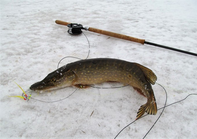 O + O  ---- 20 ----.jpg