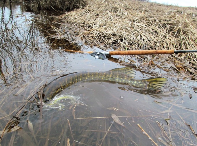 O + O  ---- 60 ----.jpg