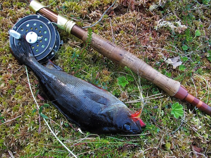 Zoom ---- 100 ----.jpg