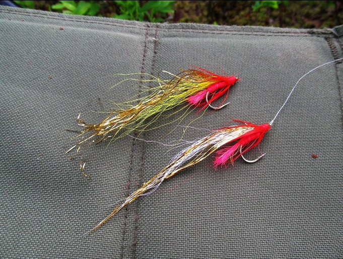 Zoom ---- 300 ----.jpg