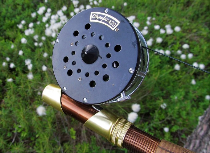 Zoom ---- 700 ----.jpg