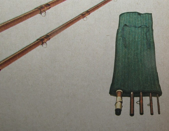 Zoom ---- 10 ----.jpg