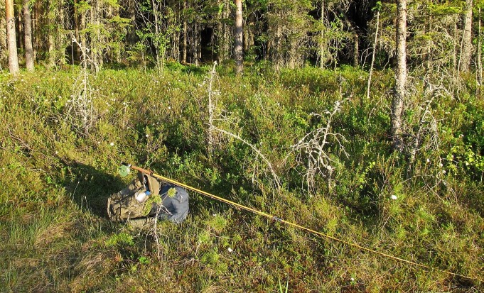 popular ---- 10 ----.jpg