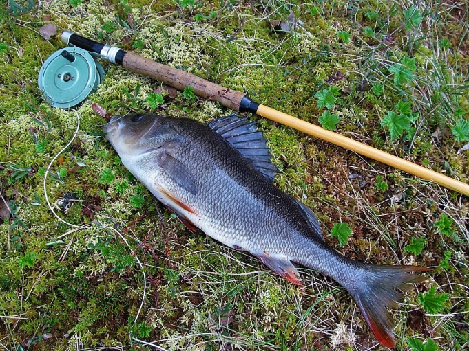 popular ---- 20 ----.jpg