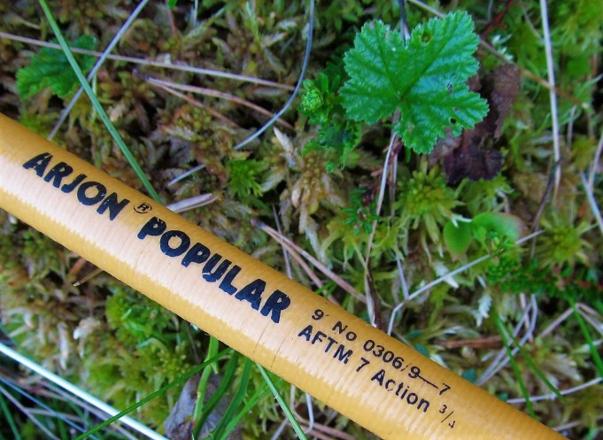 popular ---- 40 ----.jpg