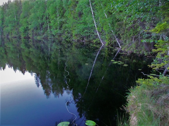 popular ---- 90 ----.jpg