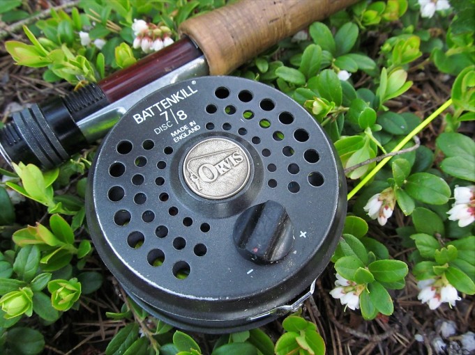 Foamiahvenet ---- 700 ----.jpg