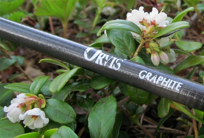 Foamiahvenet ---- 900 ----.jpg