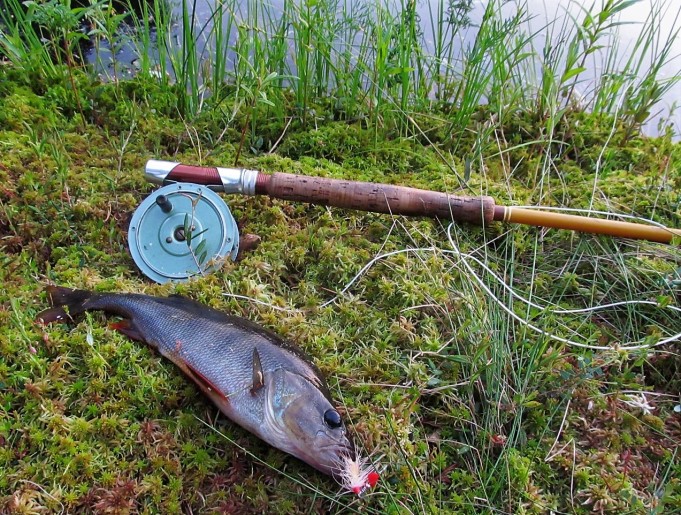 Ropeliahvenia ---- 10 ----.jpg