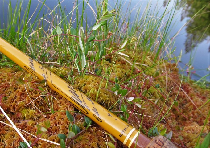 Ropeliahvenia ---- 30 ----.jpg