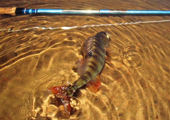 uimarantaoperaatio ---- 400 ----.jpg