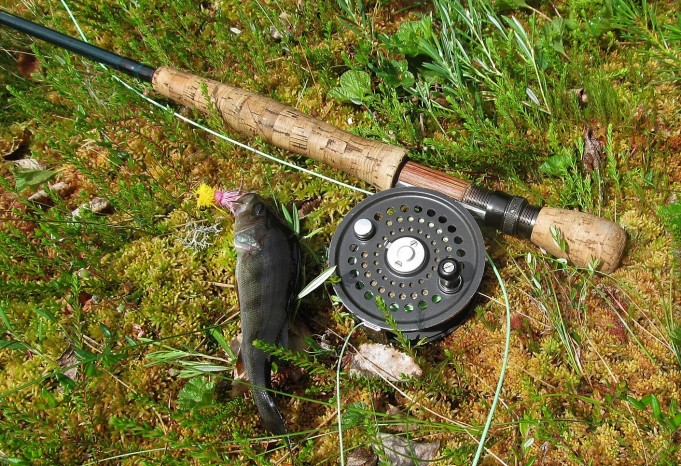 Bass Fly ---- 20 ----.jpg