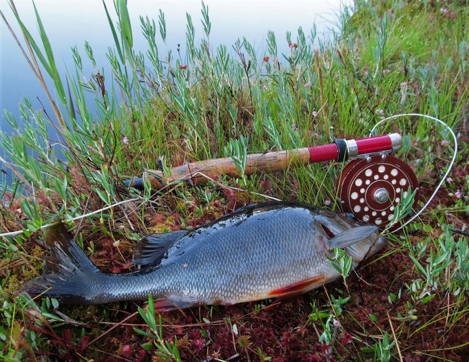 Dam x 2 ---- 10 ----.jpg