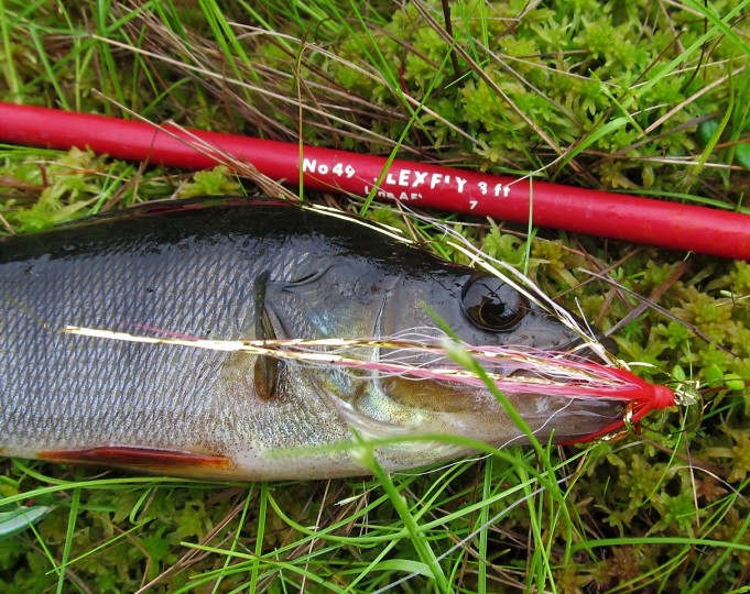 Flexfly ---- 20 ----.jpg