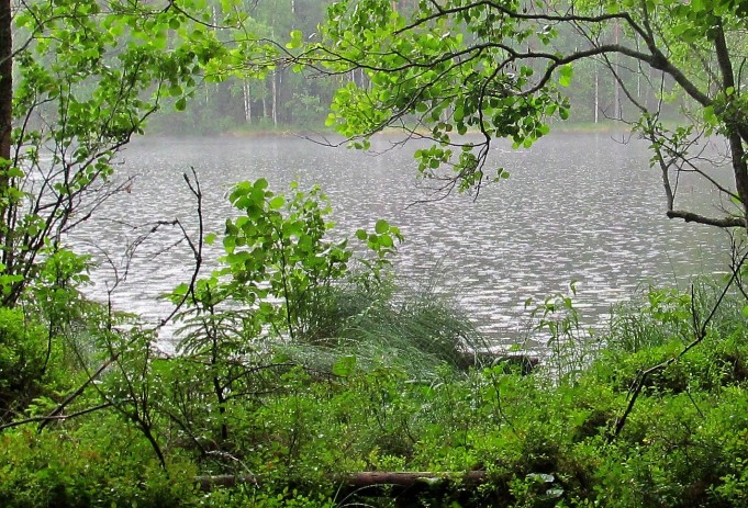 Flexfly ---- 30 ----.jpg