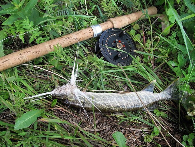 Pintiskierros ---- 1 ---- (2).jpg