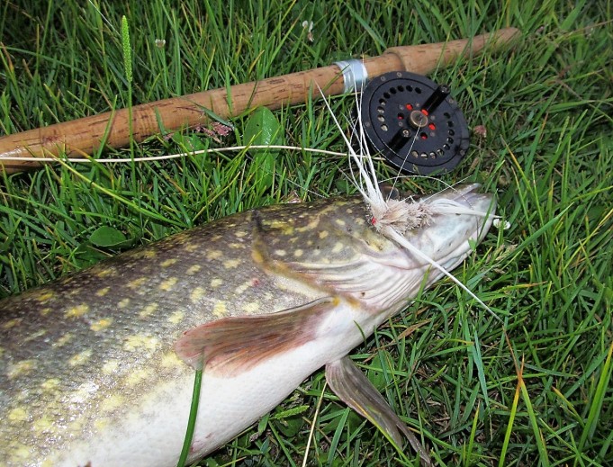 Pintiskierros ---- 4 ---- (2).jpg