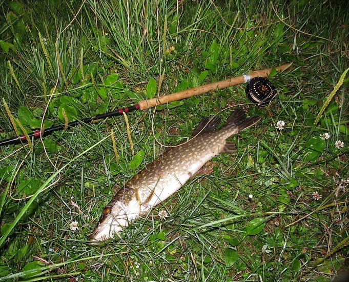 Pintiskierros ---- 6 ---- (2).jpg