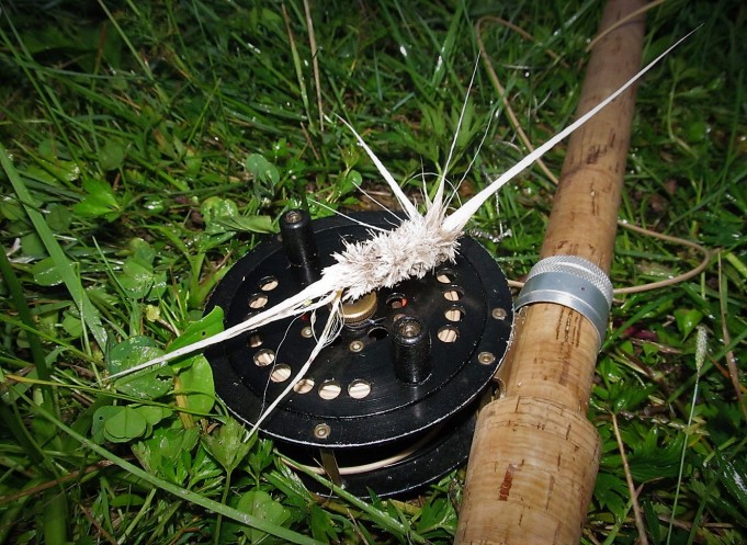 Pintiskierros ---- 8 ---- (2).jpg