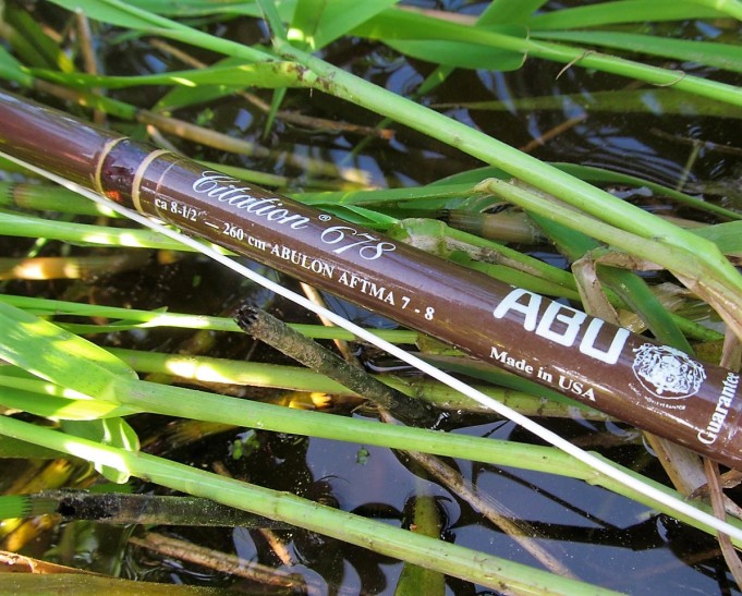 Bartleet  6 ----.jpg