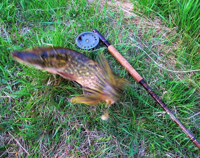 Bartleet  10 ----.jpg