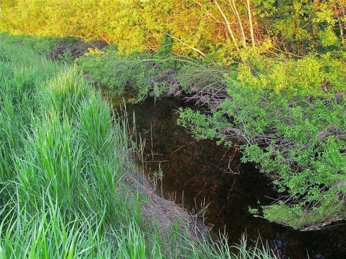 Kalifornia Los Angeles ---- 300 ----.jpg