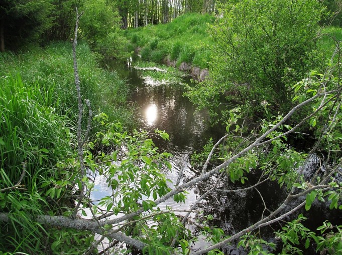 Kalifornia Los Angeles ---- 600 ----.jpg