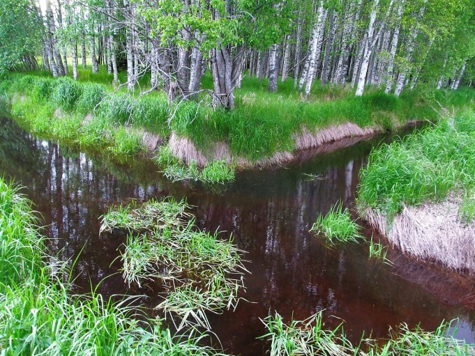 Kalifornia Los Angeles ---- 700 ----.jpg