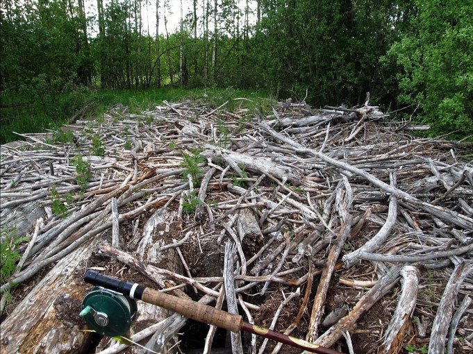 Kalifornia Los Angeles ---- 800 ----.jpg