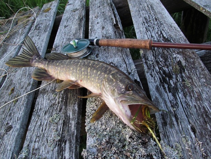 Kalifornia Los Angeles ---- 1000 ----.jpg