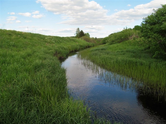 Limerick ---- 1 ----.jpg