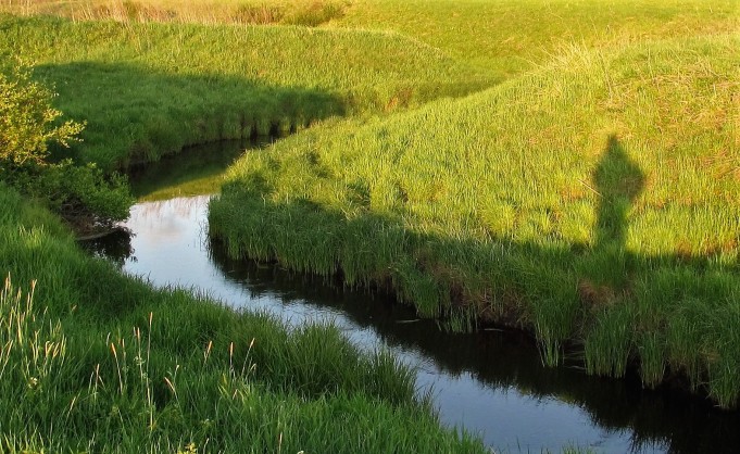 Limerick ---- 7 ----.jpg