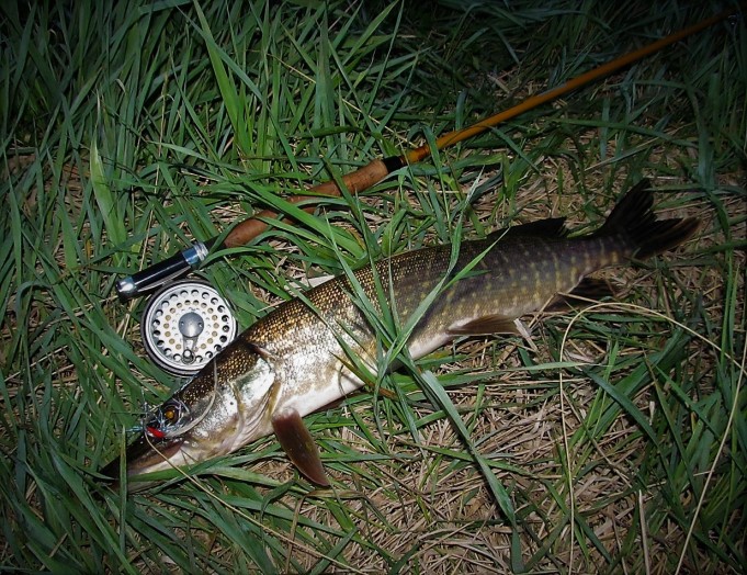 Limerick ---- 8 ----.jpg