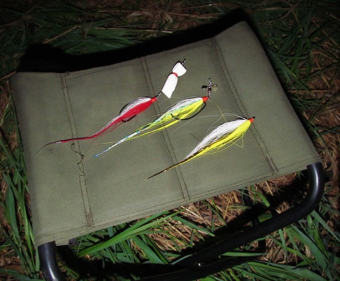 Jasu ---- 1000 ----.jpg