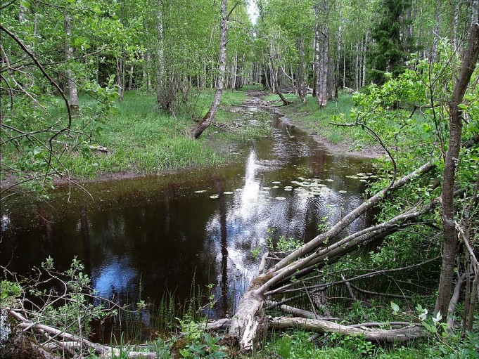 Tandem .... 100 .....jpg