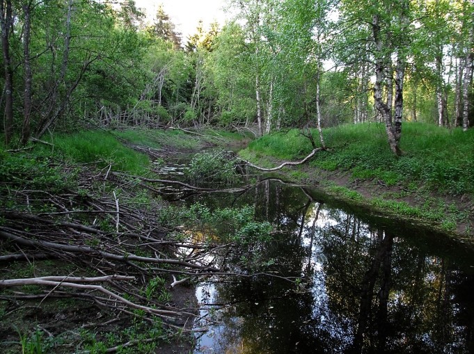 Tandem .... 800 .....jpg