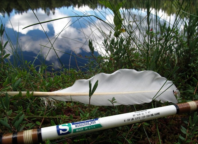 WS ---- 2 ---- (2).jpg