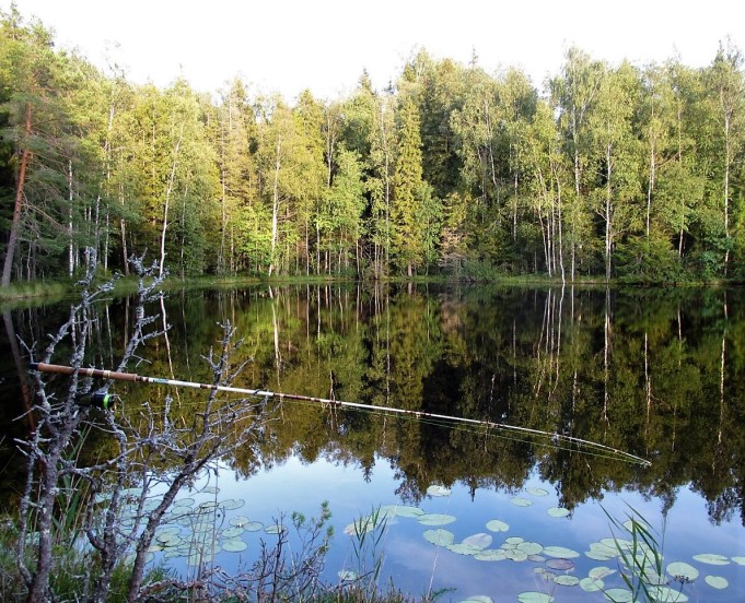 WS ---- 4 ---- (2).jpg